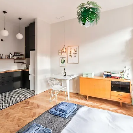 Designer City Studio * Szczecin
